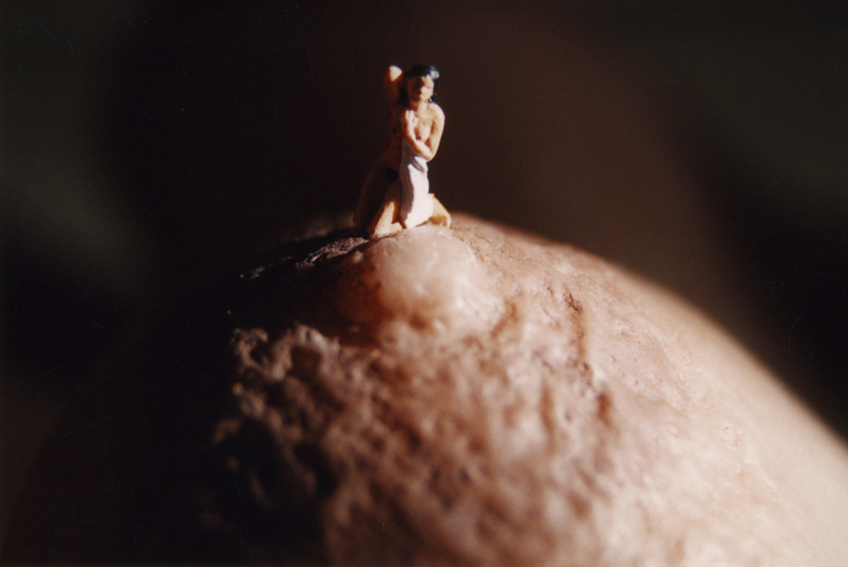 http://www.andreahasler.com/files/gimgs/40_landscapes-of-the-body-001.jpg