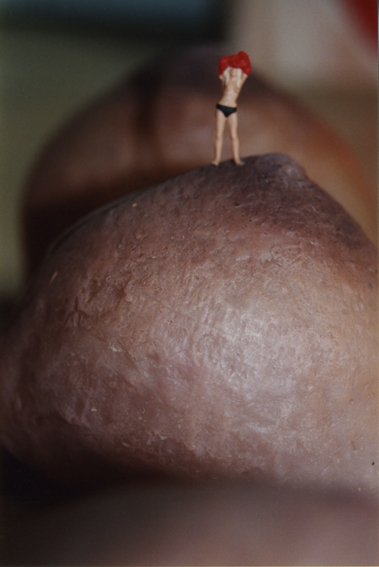http://www.andreahasler.com/files/gimgs/40_landscapes-of-the-body-01.jpg