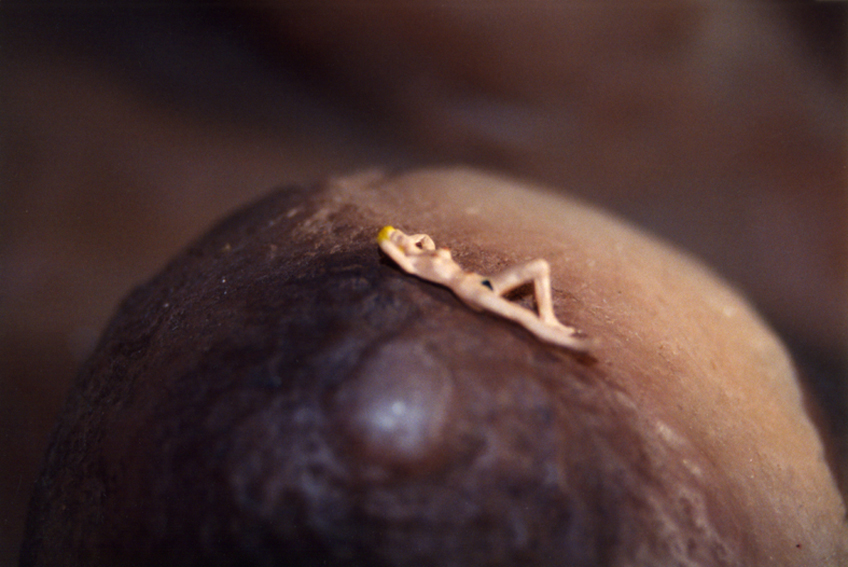 http://www.andreahasler.com/files/gimgs/40_landscapes-of-the-body-02.jpg