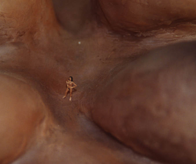 http://www.andreahasler.com/files/gimgs/40_landscapes-of-the-body-05.jpg